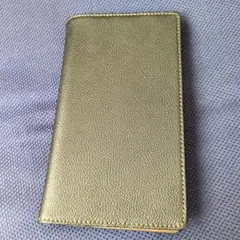 Item thumbnail for item 8a697bf6-0ecb-429d-9af9-7ecf5e81aeed