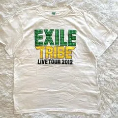 EXILE TRIBE 2012ライブTシャツ TOWER OF WISH L