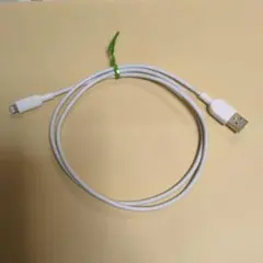 lightningケーブル Lightningケーブル