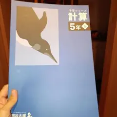 予習シリーズ 計算 5年下