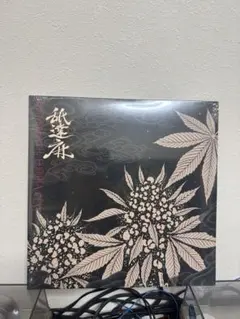 Item thumbnail for item 9cdfef8e-8ccb-4ca3-90a7-d5f4a31bfcb9