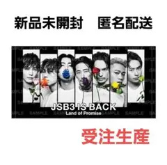 2025年最新】JSB land タオルの人気アイテム - メルカリ