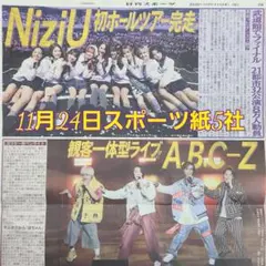 匿名配送！送料込み！ 11月24日 朝刊　 スポーツ紙全5社