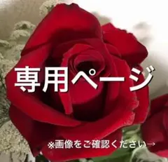 わらびん様専用