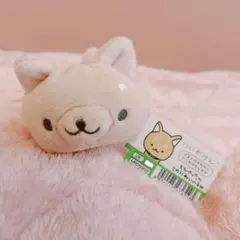 にゃんにゃんにゃんこ　にゃんこレストラン BIGぬいぐるみ　メモ帳　セット にゃんにゃんにゃんこ にゃんこレストラン BIGぬいぐるみ メモ帳