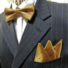 蝶ネクタイ　ポケットチーフ2点セット/メンズ/マスタードゴールド H