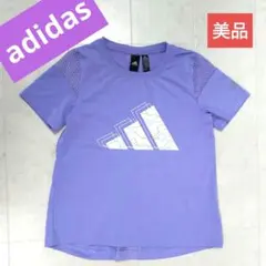 Item thumbnail for item 4b8135f3-64c6-4b46-8283-ebe76b88074f