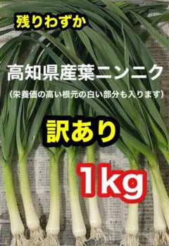 高知県産葉にんにく　葉ニンニク　野菜　産地直送訳あり1kgwbcgaのサムネイル