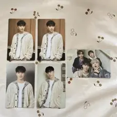 SEVENTEEN CARAT LAND トレカ　ディノ