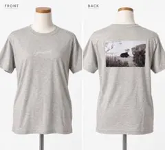 【非売品】グラスハート Tシャツ・メッセージカード テンブランク未使用　佐藤健 非売品】グラスハート Tシャツ・メッセージカード テンブランク未使用