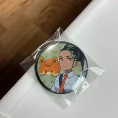 2025年最新】パルデア缶バッジの人気アイテム - メルカリ