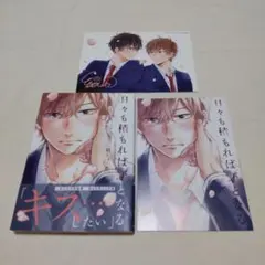 特典付　日々も積もれば恋となる　紺しょーた