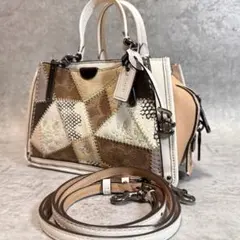 【希少モデル⭐︎美品】コーチ ドリーマー ハンドバッグ 2way モザイク