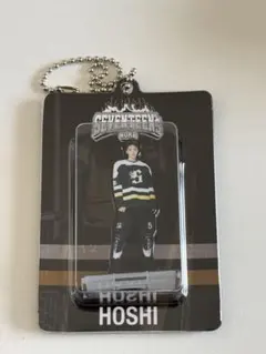 SEVENTEEN HOME ホシ　アクリルキーリング