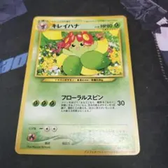 キレイハナ 旧裏 プロモ インフォメーションパック おまけカード