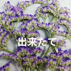 ハイブリッドスターチス　　　ブルーファンタジァ　No1　 押し花　押し花素材