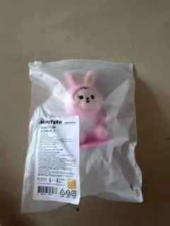 SEVENTEEN miniteen ジョンハン　マグネット　カラビナ　ラキドロ SEVENTEEN セブチ ジョンハン MINITEENミニティーン キーリング