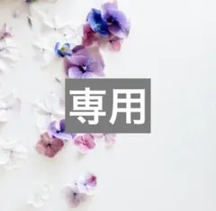 専用