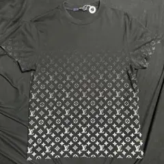LOUIS VUITTON ダミエ 半袖Lサイズ YouTuberヒカル着用 - メルカリ