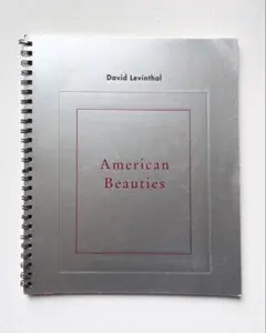 Justin Davis ジャスティン デイビスのカタログ3冊【ヴィンテージ