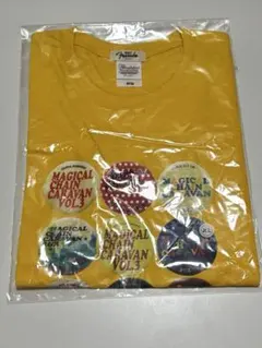 Item thumbnail for item 1d8affcd-494c-447b-955d-459d2b04300a