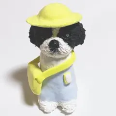 ミウラ様確認用