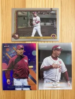 Item thumbnail for item 404854d3-fb4f-4363-9eda-57750adbbdee