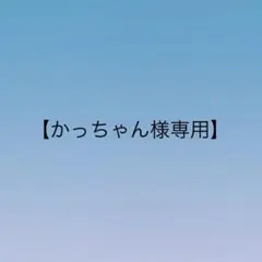 【かっちゃん様専用】Nike Air Max 95 OG イエローグラデ