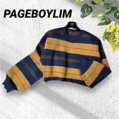 ページボーイリム◆マルチボーダーニット セーター 袖ボリューム ゆったり 美品
