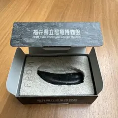 Item thumbnail for item 38bd6ffa-f8c7-4ab1-9e30-8d5c311ffd9b