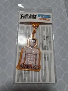 2026年最新】ぷっくりったいキーホルダー ゴールデンカムイの人気