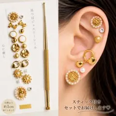 耳つぼジュエリー アレルギー対応粒 20粒 医療用シール　スティック付き