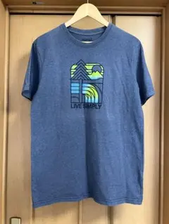 00s パタゴニア tシャツ アウトドア