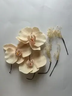 Item thumbnail for item 42a58c58-a8d2-498e-8547-c79c1e04aff0