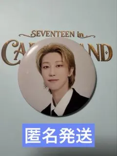SEVENTEEN in CARAT LAND 缶バッジ ミンハオ