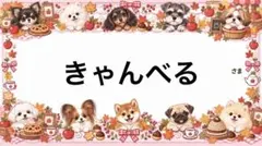 専用