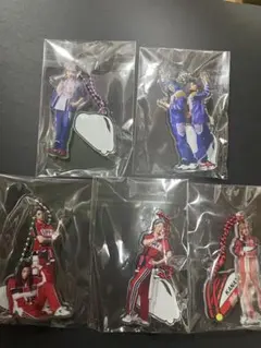 BabyKingdom 虎丸 アクリルスタンド 新品 - メルカリ