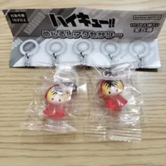 ハイキュー!! めじるしアクセサリー 孤爪研磨