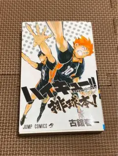 ハイキュー!! コンプリートガイドブック 排球本!