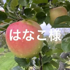 はなこ様専用ページ✨4kg