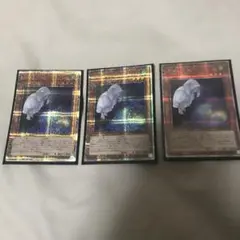 遊戯王　朔夜しぐれ 絵違い 25thレア クオシク　3枚　新品未使用