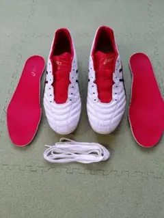 【値下げあり】ASICS DS LIGHT 28.0cm TSI754