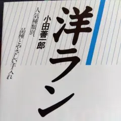 2025年最新】道楽十年の人気アイテム - メルカリ