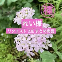 れい様 リクエスト 2点 まとめ商品