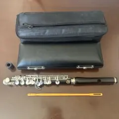 Item thumbnail for item 1a68a0ec-87dd-4543-8f0a-4e15861cc03a