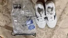 Item thumbnail for item af7e7de9-d26a-463e-88a6-86da075c8794