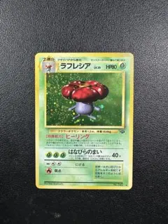 ラフレシア ☆ 第2弾拡張パック ポケモンジャングル 旧裏 大玉ホロ