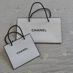 CHANEL ショップ袋 大小2点セット