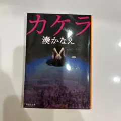 カケラ