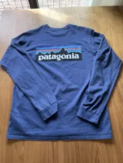 patagonia メンズ・ロングスリーブ・P-6・ロゴ・レスポンシビリティー